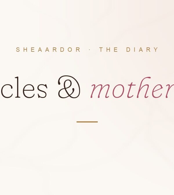 Miracles & Motherhood — The Diary cover